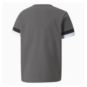 Футболка Puma Teamrise Jersey Jr Сірий 704938-13 (Оригінал)