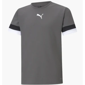 Футболка Puma Teamrise Jersey Jr Сірий 704938-13 (Оригінал)