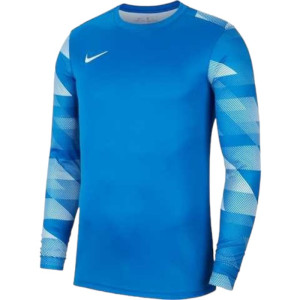 Детская Футболка Вратаря Nike Jr Dry Park Iv Cj6072-463 (Оригинал)