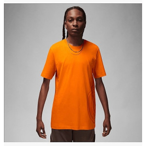 Футболка Nike Jordan Psg Short-Sleeve Logo Tee DZ2917-834 (Оригінал)