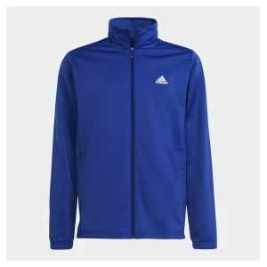 Костюм Adidas Essentials Big Logo Tracksuit Hr6408 (Оригинал)