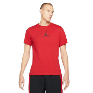 Футболка Air Jordan Jumpman Dri-FIT CW5190-687 (Оригінал)