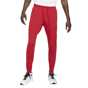 Брюки Jordan Df Air Pant CZ4790-687 (Оригинал)