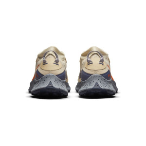 Кросівки Nike Pegasus Trail 3 Gore-Tex Dc8793-200 (Оригінал)