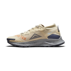 Кросівки Nike Pegasus Trail 3 Gore-Tex Dc8793-200 (Оригінал)