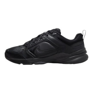 Кроссовки Nike Defy All Day DJ1196-001 (Оригинал)