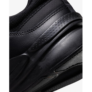 Кросівки Nike Defy All Day DJ1196-001 (Оригінал)