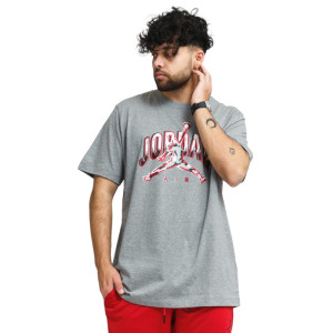 Футболка Jordan Air T-Shirt CZ8383-091 (Оригінал)