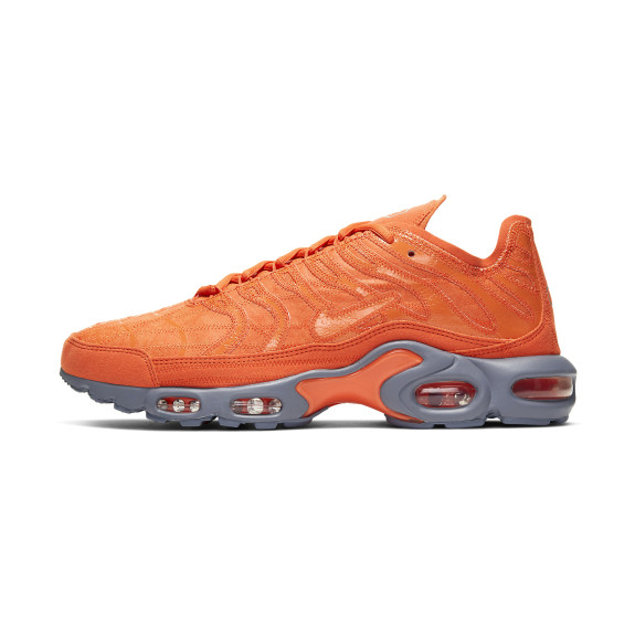 Кросівки Nike Air Max Plus CD0882-800 (Оригінал)