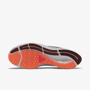 Кросівки Nike Air Zoom Pegasus 38 Shield DC4073-003 (Оригінал)
