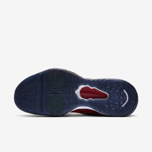 Кросівки Nike Air Zoom BB Nxt CK5707-600 (Оригінал)