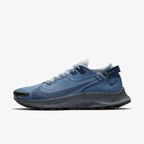 Кросівки Nike Pegasus Trail 2 Gtx CU2016-400 (Оригінал)
