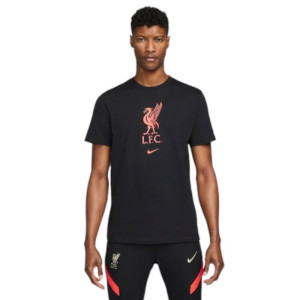 Футболка Nike Liverpool Fc Tee Crest Dm3482-010 (Оригинал)