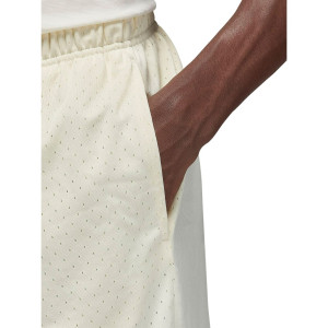 Шорти Nike Jordan Dry-Fit Sport Mesh Fn5816-113 (Оригінал)