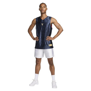 Чоловіча Майка Nike Dri-Fit Kobe fz0934-475 (Оригінал)