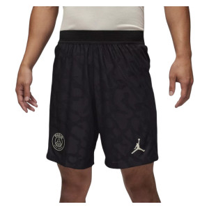 Чоловічі Шорти Nike Air Jordan Dri-Fit Adv DX9769-010 (Оригінал)