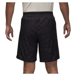 Чоловічі Шорти Nike Air Jordan Dri-Fit Adv DX9769-010 (Оригінал)