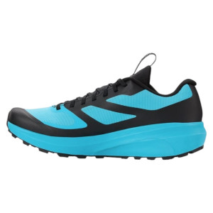 Кроссовки Arc'Teryx Norvan Ld 3 Gtx Shoe Blue Tetra/Pytheas X000006998 (Оригинал)