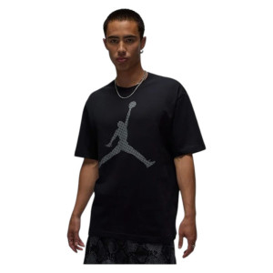 Футболка Nike Jordan BRK MG Fill SS Crew IF0399-010 (Оригінал)